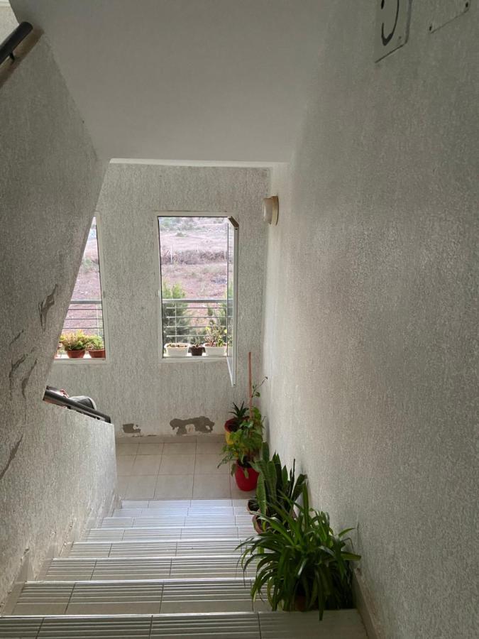 Lovely Appartement 塞尔 外观 照片